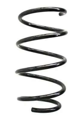 Fahrwerksfeder Vorderachse SPIDAN 56942