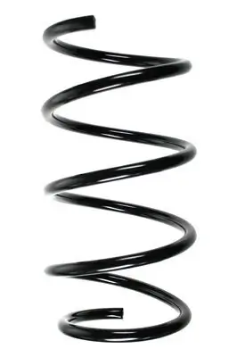 Fahrwerksfeder Vorderachse SPIDAN 56954 Bild Fahrwerksfeder Vorderachse SPIDAN 56954