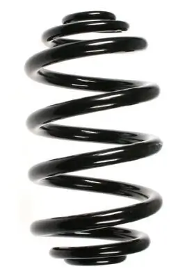 Fahrwerksfeder Hinterachse SPIDAN 56963 Bild Fahrwerksfeder Hinterachse SPIDAN 56963