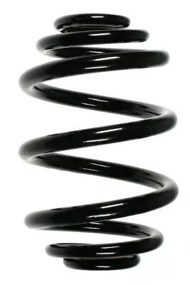Fahrwerksfeder Hinterachse SPIDAN 56972