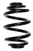 Fahrwerksfeder Hinterachse SPIDAN 56972