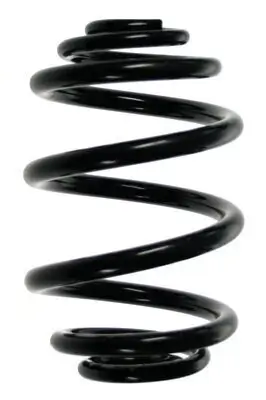 Fahrwerksfeder Hinterachse SPIDAN 56975 Bild Fahrwerksfeder Hinterachse SPIDAN 56975