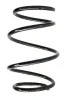 Fahrwerksfeder Vorderachse SPIDAN 56976