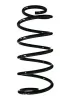 Fahrwerksfeder Vorderachse SPIDAN 56998