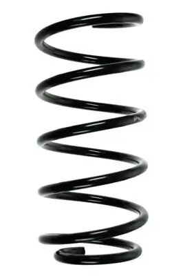 Fahrwerksfeder Hinterachse SPIDAN 56999 Bild Fahrwerksfeder Hinterachse SPIDAN 56999