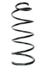 Fahrwerksfeder Vorderachse SPIDAN 85007