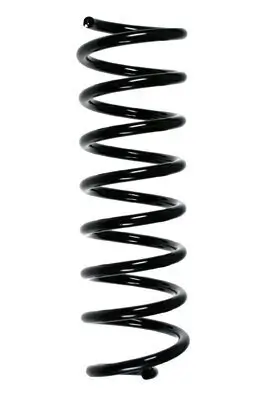 Fahrwerksfeder Hinterachse SPIDAN 85016 Bild Fahrwerksfeder Hinterachse SPIDAN 85016