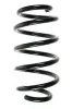 Fahrwerksfeder Hinterachse SPIDAN 85018