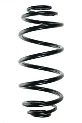 Fahrwerksfeder Hinterachse SPIDAN 85038