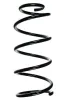 Fahrwerksfeder Vorderachse SPIDAN 85047