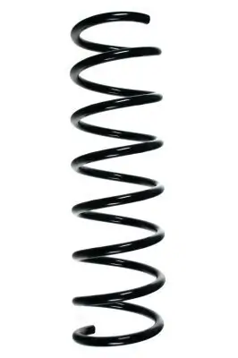 Fahrwerksfeder Hinterachse SPIDAN 85050