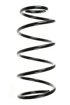 Fahrwerksfeder Vorderachse SPIDAN 85052