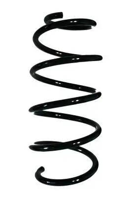 Fahrwerksfeder Vorderachse SPIDAN 85069