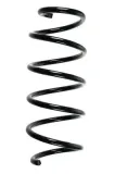 Fahrwerksfeder Vorderachse SPIDAN 85073