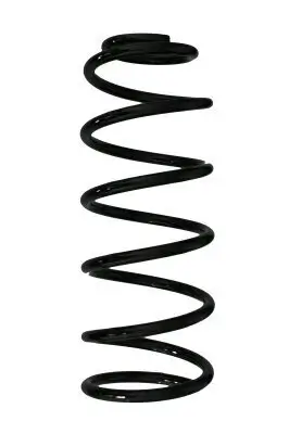 Fahrwerksfeder Hinterachse SPIDAN 85081