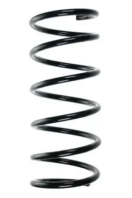 Fahrwerksfeder Vorderachse SPIDAN 85085