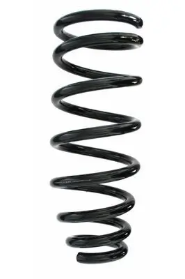 Fahrwerksfeder Vorderachse SPIDAN 85090