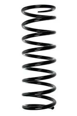 Fahrwerksfeder Hinterachse SPIDAN 85099
