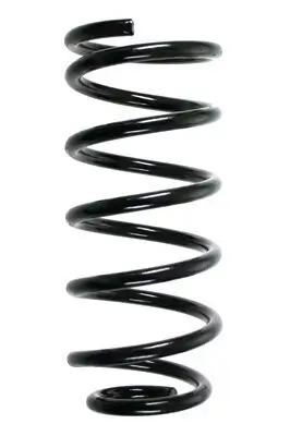 Fahrwerksfeder Hinterachse SPIDAN 85115