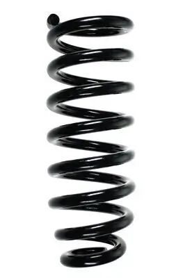 Fahrwerksfeder Vorderachse SPIDAN 85117 Bild Fahrwerksfeder Vorderachse SPIDAN 85117