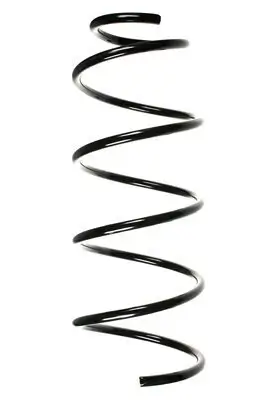 Fahrwerksfeder Vorderachse SPIDAN 85120