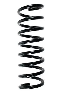 Fahrwerksfeder Hinterachse SPIDAN 85135