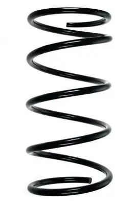 Fahrwerksfeder Vorderachse SPIDAN 85167