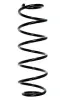 Fahrwerksfeder Hinterachse SPIDAN 85174