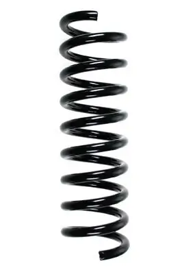Fahrwerksfeder Hinterachse SPIDAN 85202