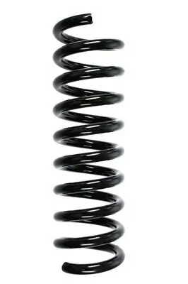 Fahrwerksfeder Hinterachse SPIDAN 85203