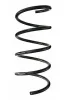Fahrwerksfeder Vorderachse SPIDAN 85204
