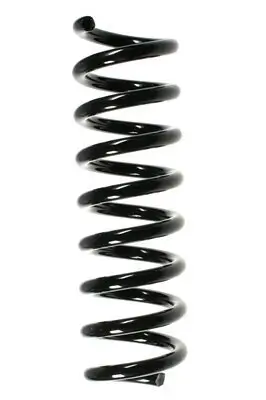 Fahrwerksfeder Hinterachse SPIDAN 85207 Bild Fahrwerksfeder Hinterachse SPIDAN 85207