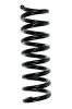 Fahrwerksfeder Hinterachse SPIDAN 85212