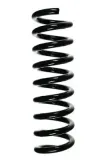 Fahrwerksfeder Hinterachse SPIDAN 85215