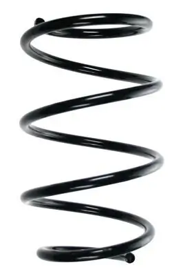 Fahrwerksfeder Vorderachse SPIDAN 85230