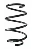 Fahrwerksfeder Vorderachse SPIDAN 85231