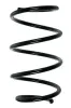 Fahrwerksfeder Vorderachse SPIDAN 85232