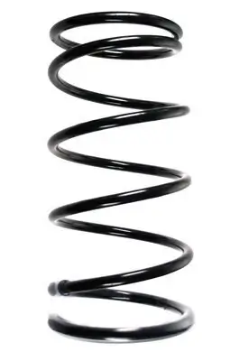 Fahrwerksfeder Vorderachse SPIDAN 85241