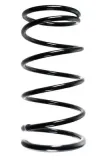 Fahrwerksfeder Vorderachse SPIDAN 85241