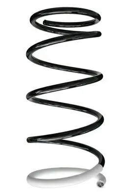 Fahrwerksfeder Vorderachse SPIDAN 85245