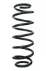 Fahrwerksfeder Hinterachse SPIDAN 85251