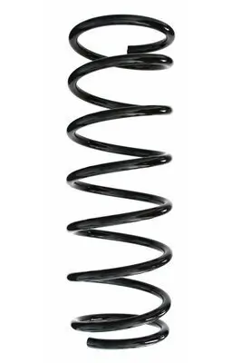 Fahrwerksfeder Hinterachse SPIDAN 85252