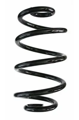 Fahrwerksfeder Hinterachse SPIDAN 85296