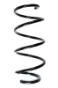 Fahrwerksfeder Vorderachse SPIDAN 85297