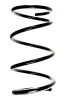 Fahrwerksfeder Vorderachse SPIDAN 85319