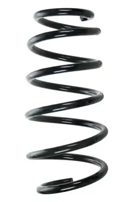 Fahrwerksfeder Vorderachse SPIDAN 85330