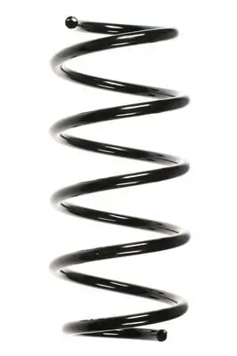 Fahrwerksfeder Vorderachse SPIDAN 85334 Bild Fahrwerksfeder Vorderachse SPIDAN 85334