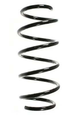 Fahrwerksfeder Vorderachse SPIDAN 85335