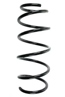 Fahrwerksfeder Vorderachse SPIDAN 85342