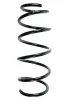 Fahrwerksfeder Vorderachse SPIDAN 85342